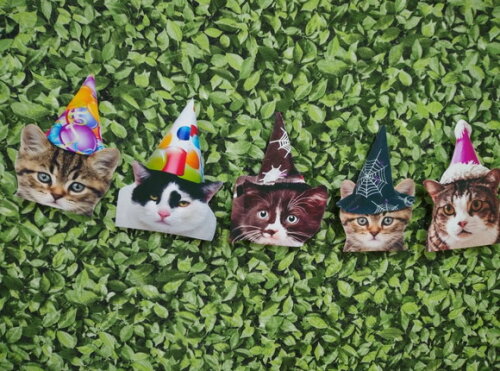 Gatos Varal com 12 Rostinhos de Gatinhos Decorados