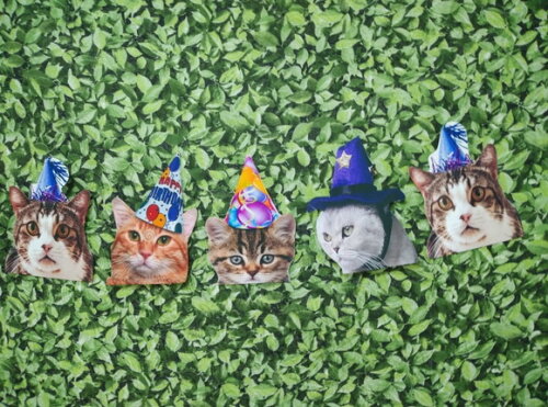 Gatos Varal com 12 Rostinhos de Gatinhos Decorados