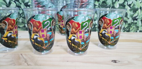 Harry Porter Copo Personalizado 300 ml Pronta Entrega