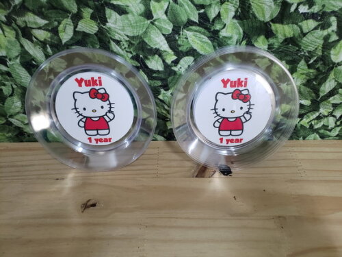 Hello Kitty Prato Personalizado Pronta Entrega