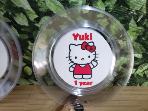 Hello Kitty Prato Personalizado Pronta Entrega