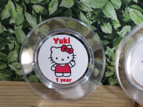 Hello Kitty Prato Personalizado Pronta Entrega