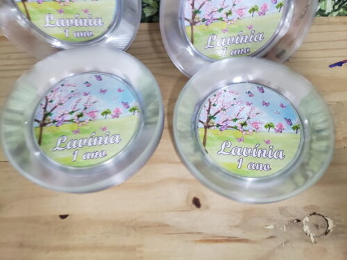 Jardim Prato Sobremesa Personalizado Pronta Entrega