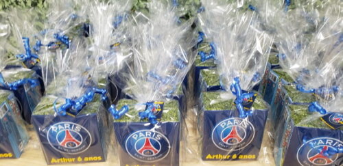 Jogo de Botão Lembrancinha Tema Psg Personalizado
