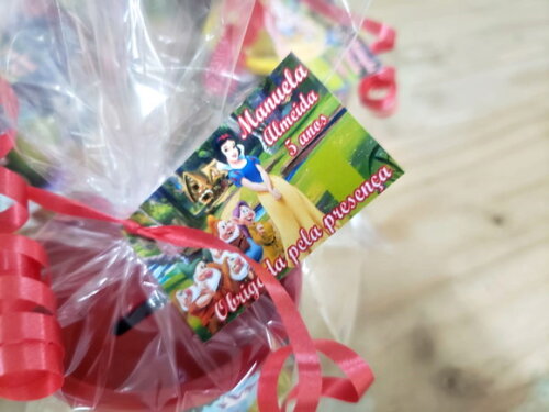 Lembrancinha Cofrinho Branca de Neve Já Embalados