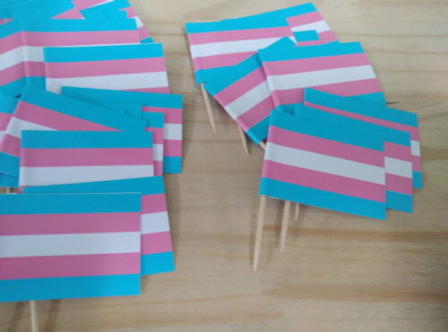 Lgbt Bandeirinhas Decorativas 50 Unid. 5 Mod. Pronta Entrega
