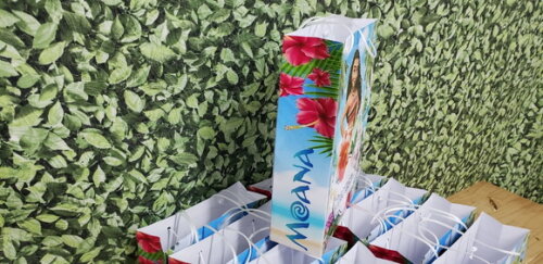 Moana Sacola Grande Personalizada Tamanho 29x20x8 cm