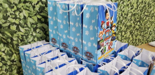 Patrulha Canina Sacola Personalizada Pronta Entrega