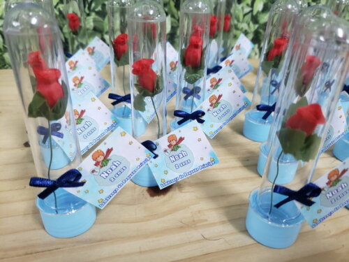 Pequeno Principe Lembrancinha Tubete Mini Rosinha Personaliz