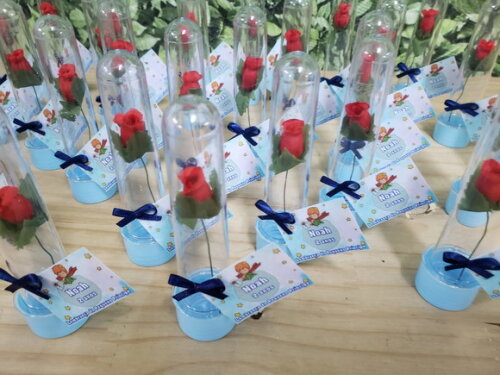 Pequeno Principe Lembrancinha Tubete Mini Rosinha Personaliz