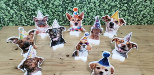 Pet Cachorro Festa Decoração Displays de Mesa 10 Unidades