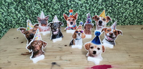 Pet Cachorro Festa Decoração Displays de Mesa 10 Unidades