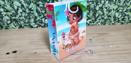 Sacola 2 Temas Infantis e Afins Personalizada Pronta Entrega