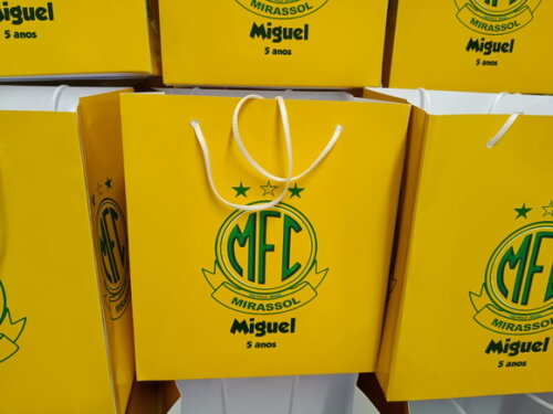 Sacolas Tamanhos Especiais Personalizadas Pronta Entrega