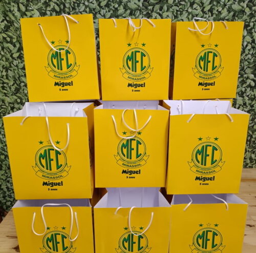 Sacolas Tamanhos Especiais Personalizadas Pronta Entrega