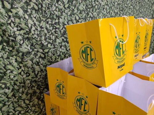 Sacolas Tamanhos Especiais Personalizadas Pronta Entrega