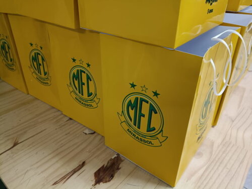 Sacolas Tamanhos Especiais Personalizadas Pronta Entrega
