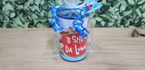 Show da Luna Cofrinhos Personalizados e Embalados