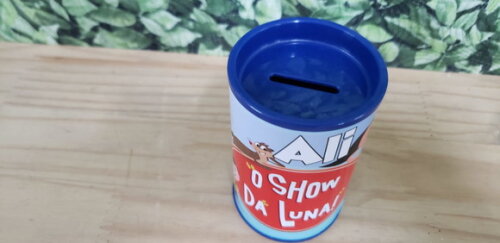 Show da Luna Cofrinhos Personalizados Pronta Entrega