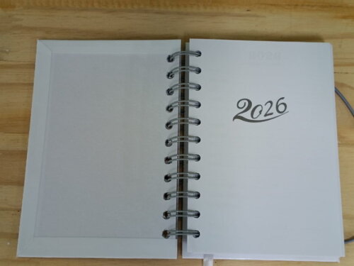 Sonic Agenda Personalizada Tam 15x10 cm - Todos os Temas