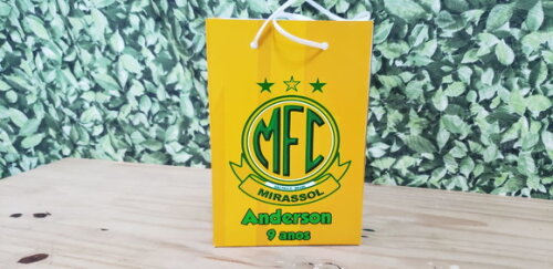 Times de Futebol Sacola Personalizada - Séria a B c D,várzea