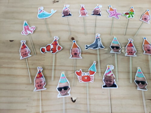 Topper para Docinhos com Foto e Animaiszinhos Pronta Entrega