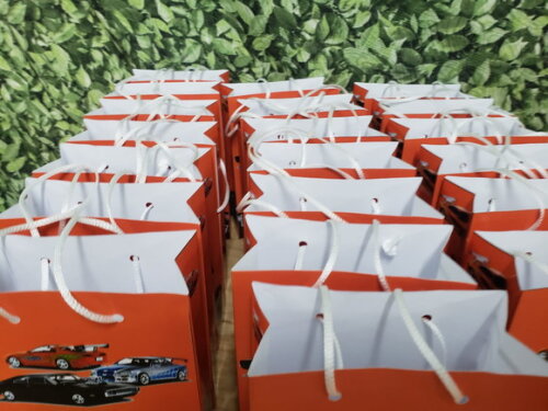 Velozes e Furiosos Sacola Personalizada Pronta Entrega