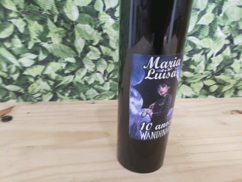 Wandinha Copo Long Drink Personalizado Pronta Entrega