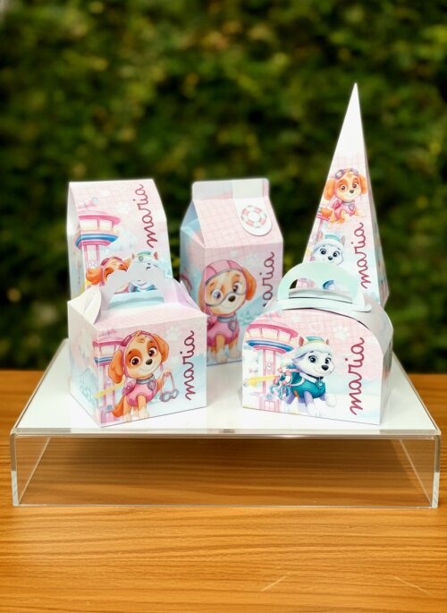 Kit  15 Caixinhas Personalizadas Papelaria Sky e Everst Patrulha Canina Lembrancinha