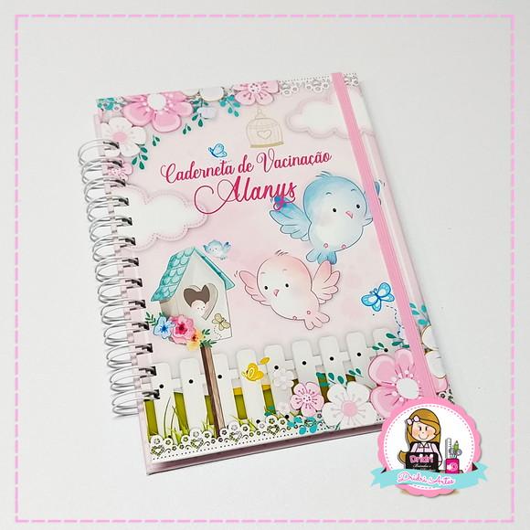 Livro do Bebê e Caderneta de Vacinação