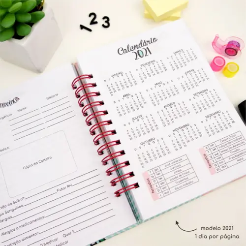 Agenda Escolar Patrulha Canina