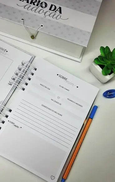 Diário da Adoção com Caixa Personalizada