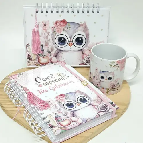 Kit Organizador Corujinha