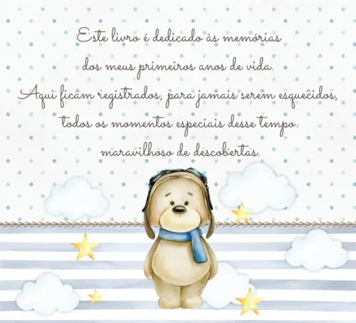 Livro do Bebê Ursinho Aviador