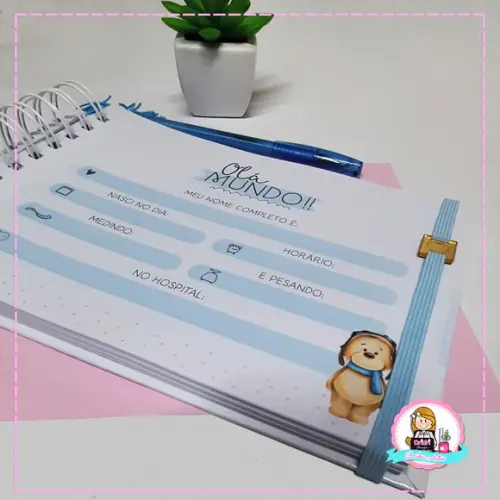 Livro do Bebê Urso Baloeiro