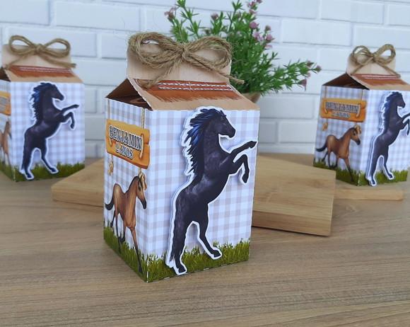 Caixa Milk Cavalos Country