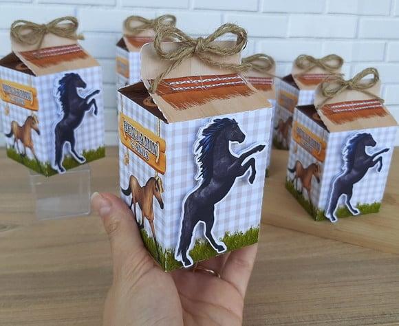 Caixa Milk Cavalos Country