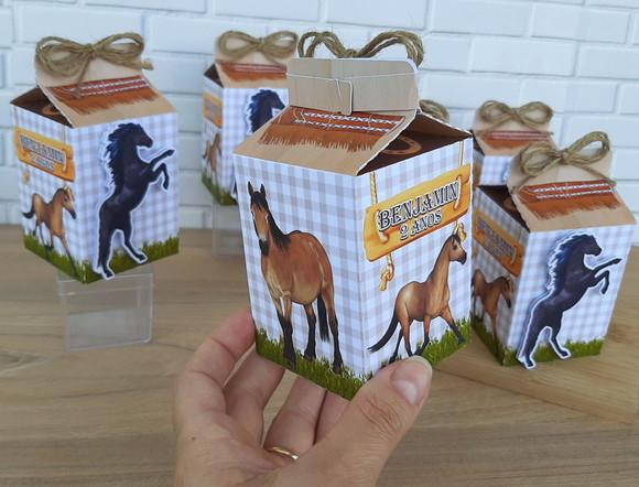 Caixa Milk Cavalos Country