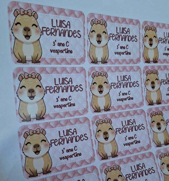 Kit Etiqueta Adesiva para Material Escolar Capivara Cute