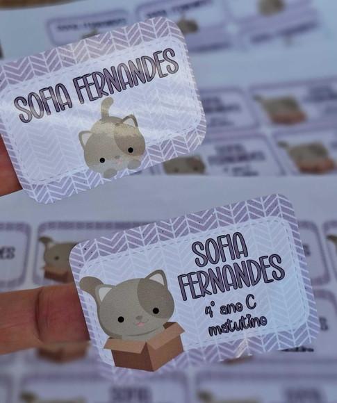 Kit Etiqueta Adesiva para Material Escolar Gatinhos