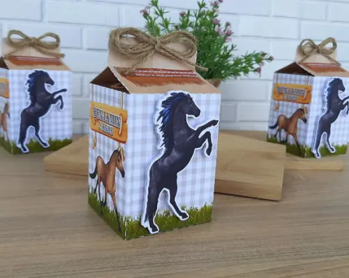 Caixa Milk Cavalos Country