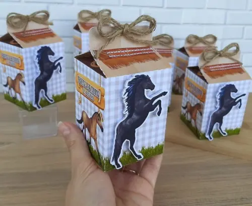 Caixa Milk Cavalos Country