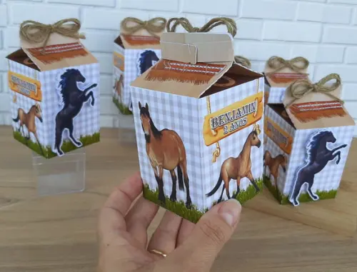 Caixa Milk Cavalos Country