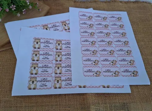 Kit Etiqueta Adesiva para Material Escolar Capivara Cute