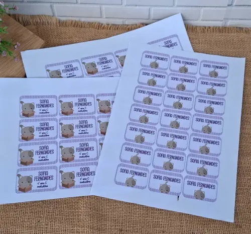 Kit Etiqueta Adesiva para Material Escolar Gatinhos