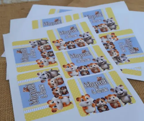 Kit Festa na Escola Hamster