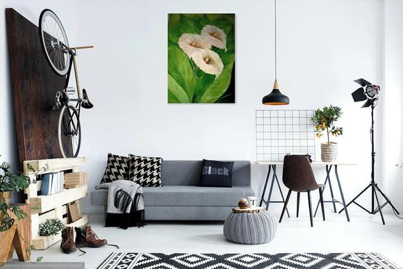 Quadros Decorativos Floral Copos de Leite Presente de Natal