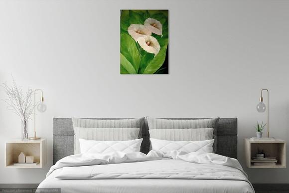 Quadros Decorativos Floral Copos de Leite Presente de Natal