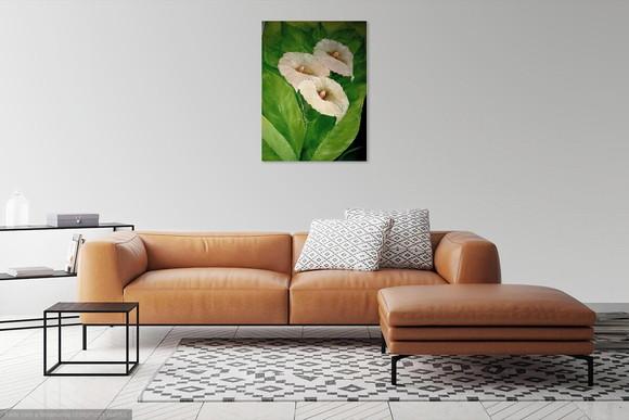 Quadros Decorativos Floral Copos de Leite Presente de Natal