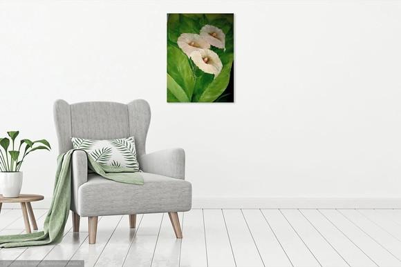 Quadros Decorativos Floral Copos de Leite Presente de Natal